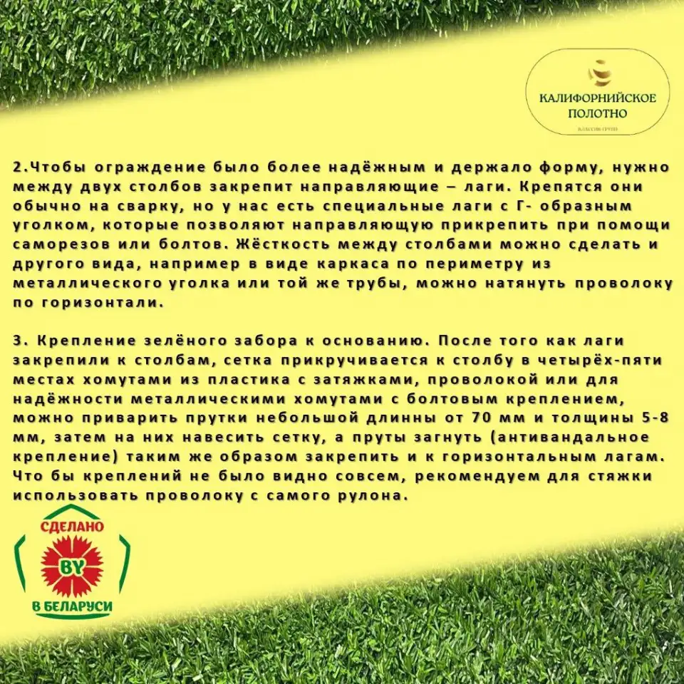 Зеленая изгородь, высотой 0,5 м длина 10 м, фотография 9