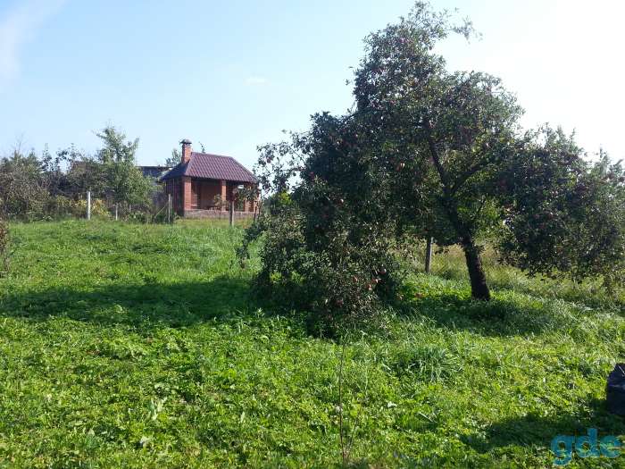 Продам участок 10 соток, 21 км от МКАД., с/т Лесное, фотография 3