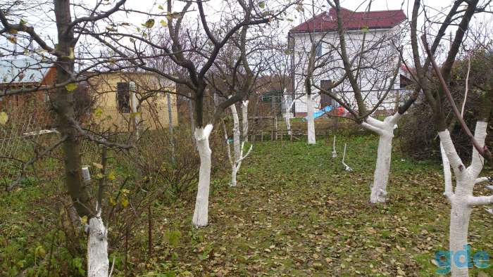 Обрезка сада любой сложности, фотография 4