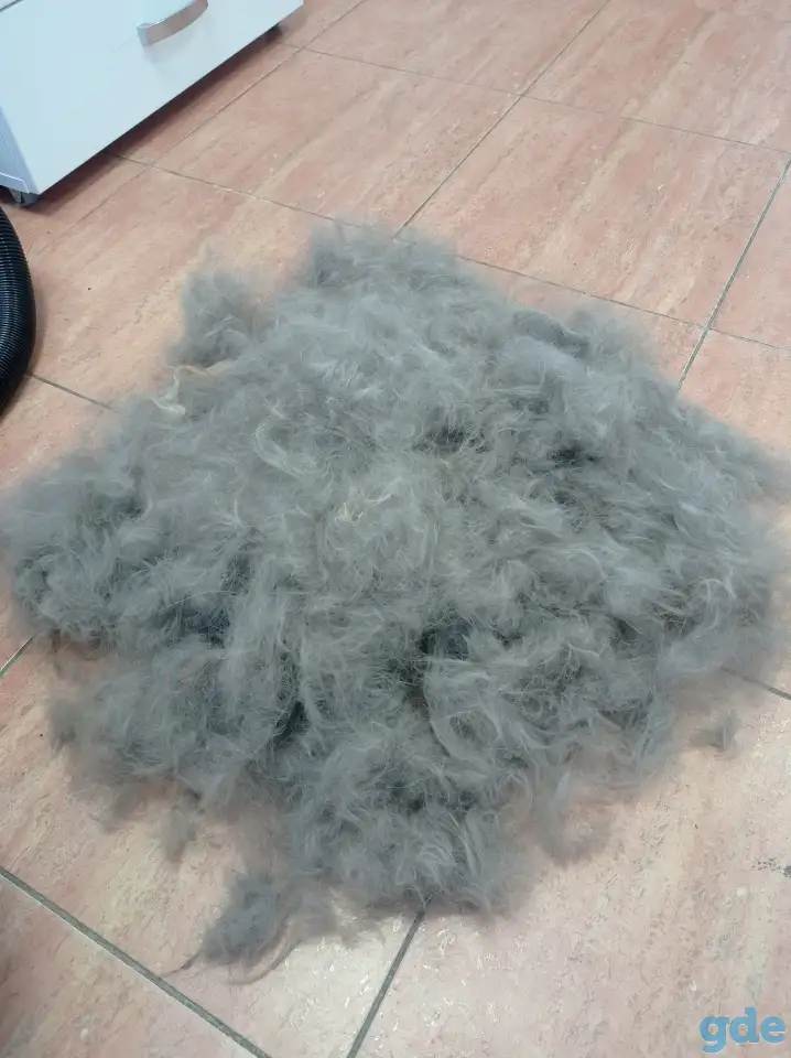 ✂️, фотография 12