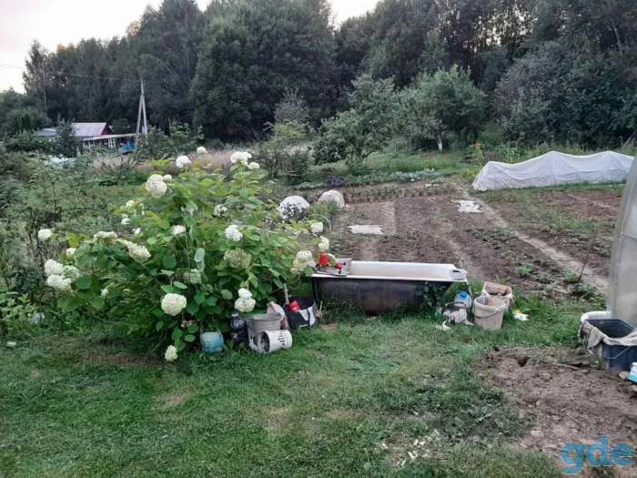 продажа дачи, ст.Радошковичи,садовое товарищество Поляны, направление Молодечно, фотография 4