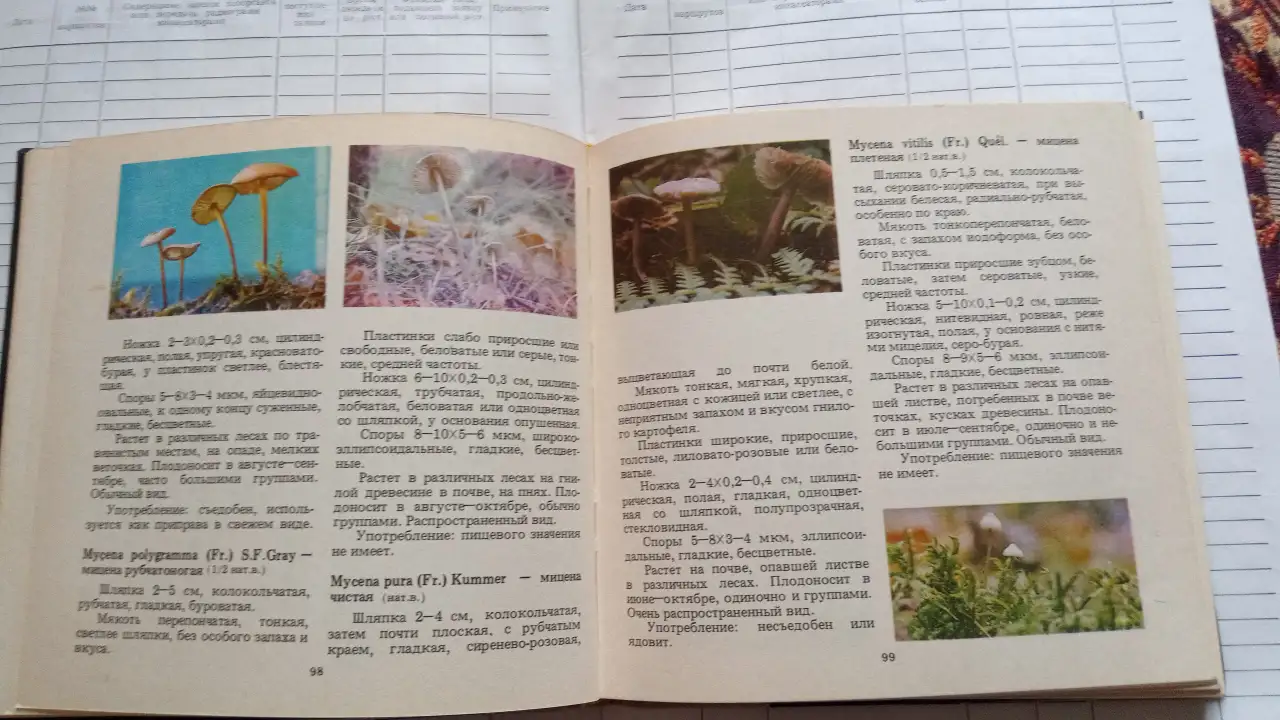 Книга о грибах Макромицеты, фотография 2