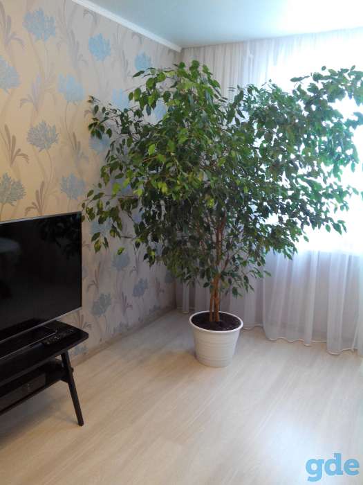 Продам, фотография 1