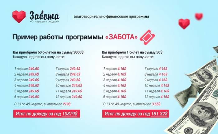 Международное сообщество Забота – это Ваш шанс., фотография 5