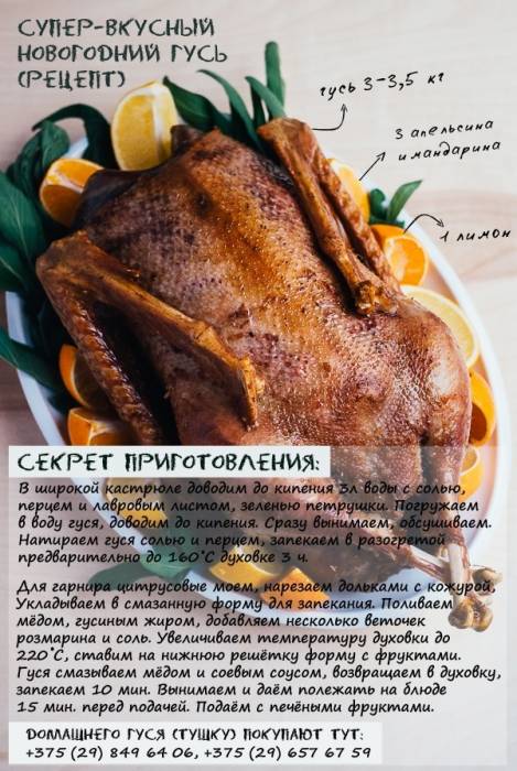 Продается гусь домашний (тушка), фотография 2