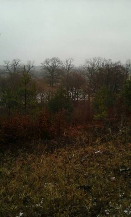 Участок на берегу реки, фотография 3