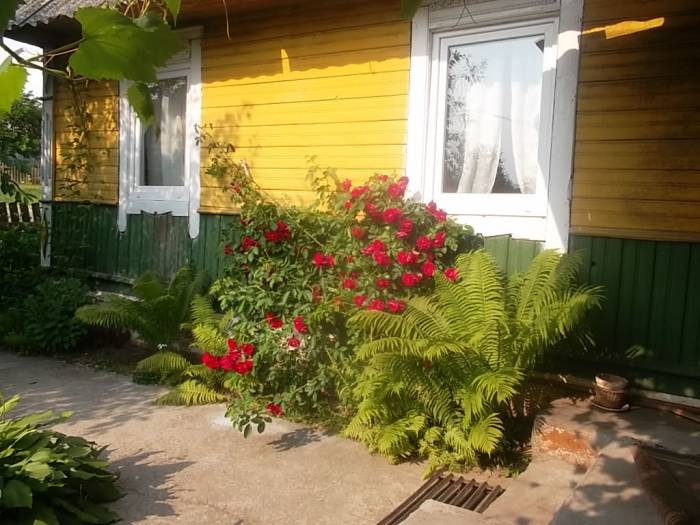 срочно продам дом, фотография 1