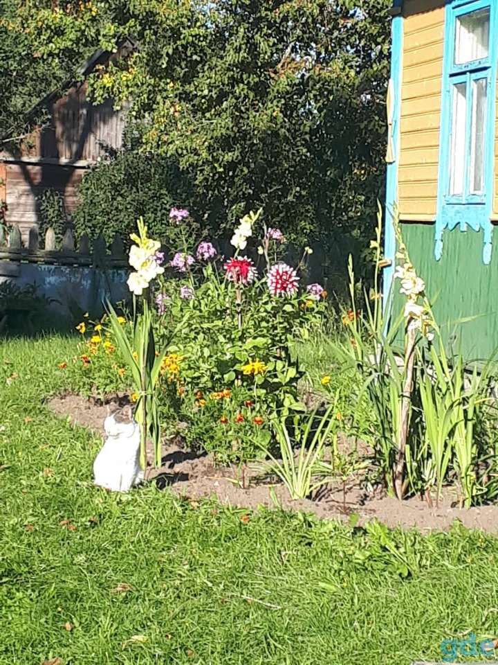 Продам дом Загорье, фотография 5