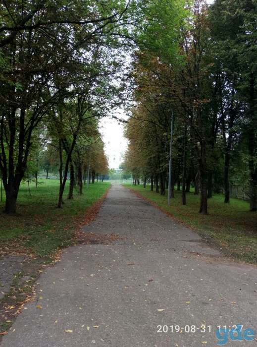 Участок с домом. Полоцк, фотография 9