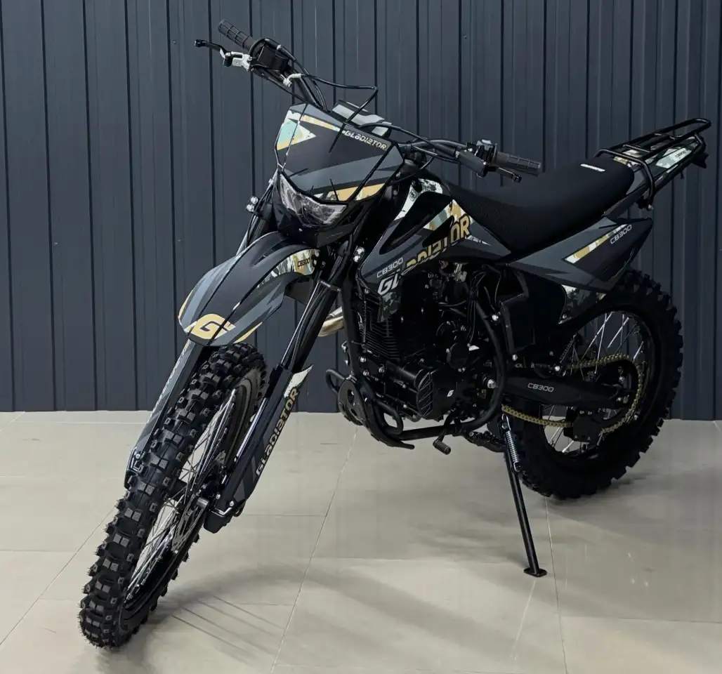 Мотоцикл GLADIATOR C3 CB300, фотография 7