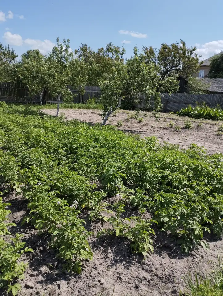 ПРОДАЖА ОДНОКВАРТИРНОЙ ДОМА, ул.Новая д.4, фотография 14