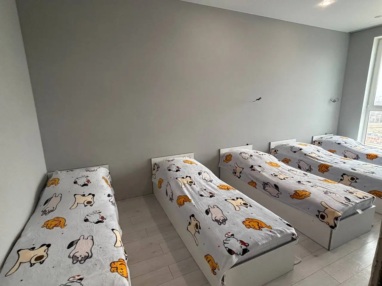 Сдам 2 ком для 7-8 строителей в Минск Мире, Ул. Алферова, 14, фотография 1