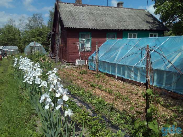 Продам участок с домом в центре г.Кобрина на берегу р.Муховец., фотография 1