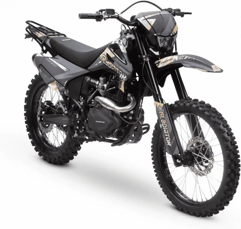 Мотоцикл GLADIATOR C4 PR300, фотография 3
