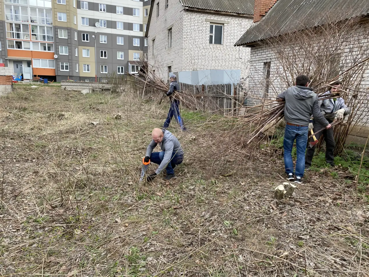 Услуги по вырезке деревьев, фотография 7