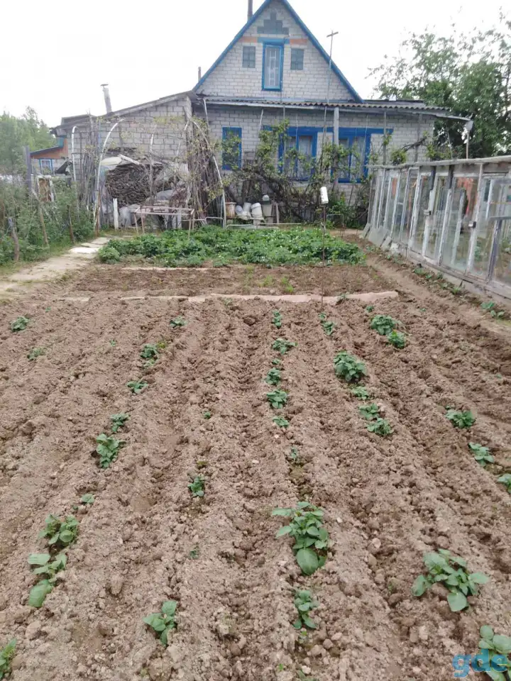 продажа дачи с участком, д.Волоки, фотография 3