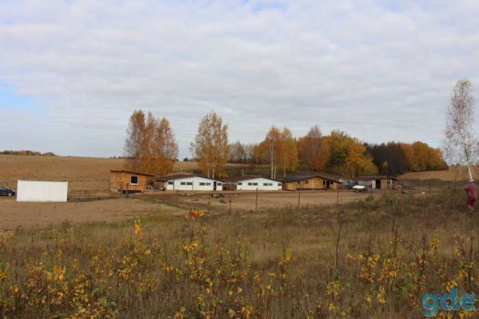 фермерское хозйство, фотография 4