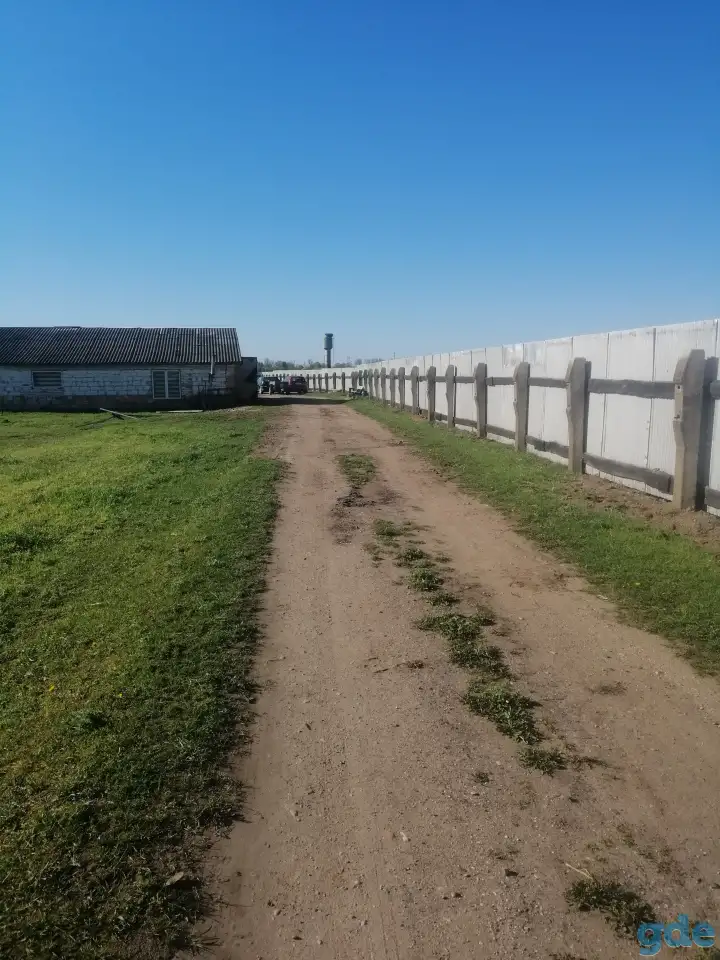 Продам лпх, фотография 3