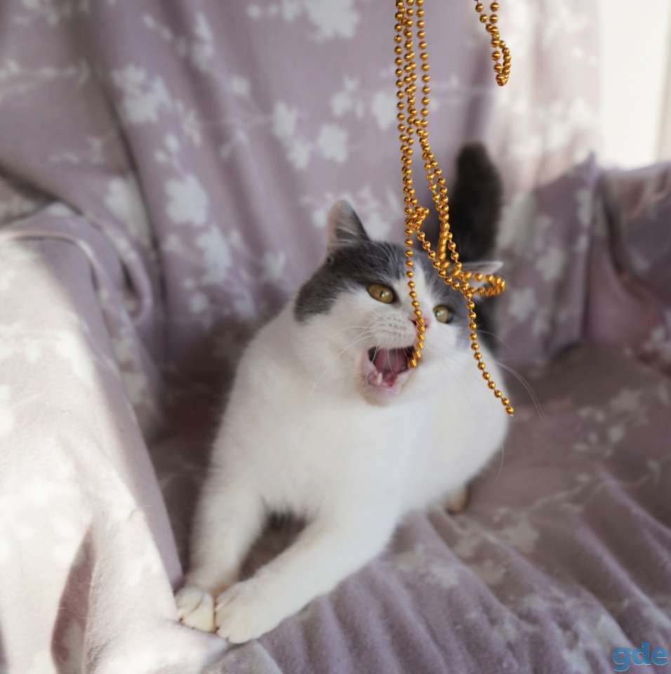 Милашик Сёма, фотография 2