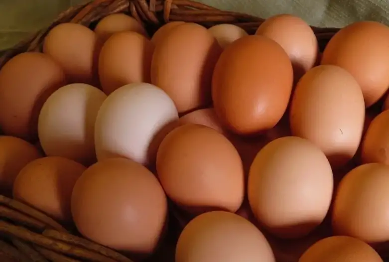 Продам яйцо домашнее куриное в Борисове, фотография 1
