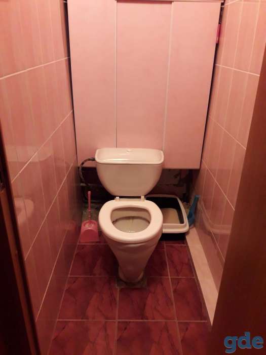 Срочно ищет новых хозяев!, Город ул Брестская 89, фотография 11