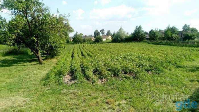 Продам дом Тышковичи, Ул. Содовая, фотография 6