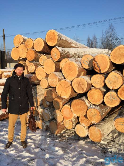Ручная рубка домов из кедра, фотография 4