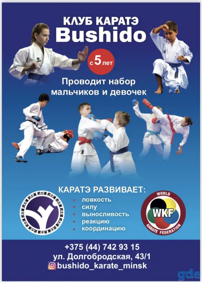 Занятия по каратэ wkf, фотография 1