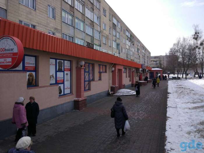 Аренда недвижимости, ул. Соломовой, д. 70-93 , г. Гродно, фотография 2