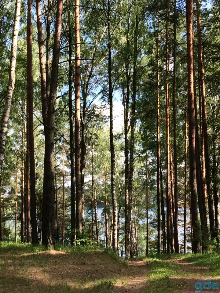 Квартира в санаторно-курортной зоне Лепельского района, фотография 9
