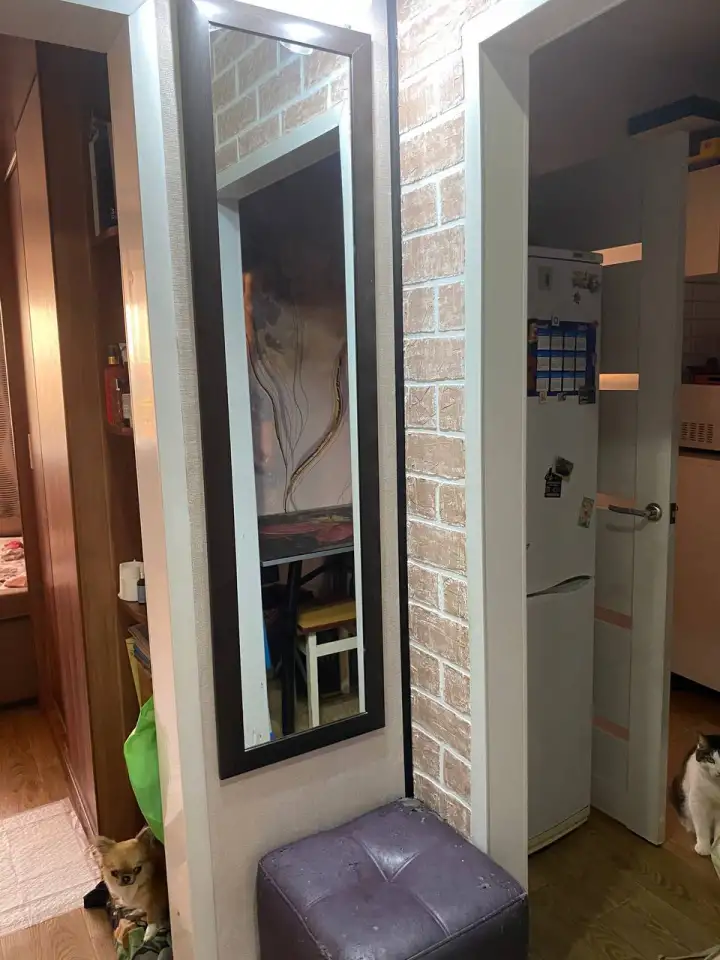 Продам 2-х комнатную квартиру в г.Крупки, фотография 3