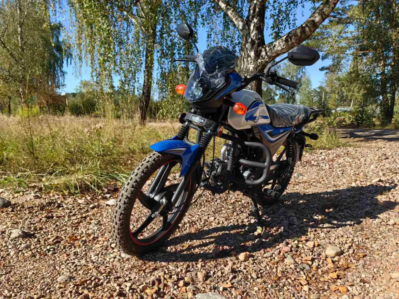 Мопед Motoland Альфа RS 11, фотография 4