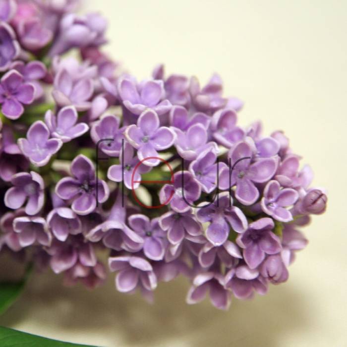 Курсы в Гомеле, фотография 8