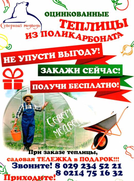 Теплицы стальные оцинкованные, фотография 1