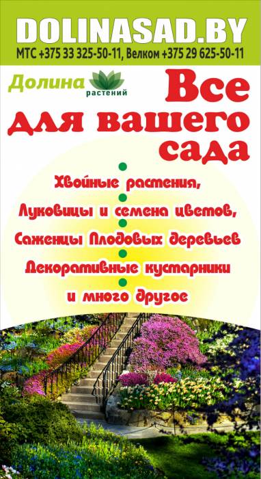Садовые растения от лучших производителей Европы и РБ. , фотография 1