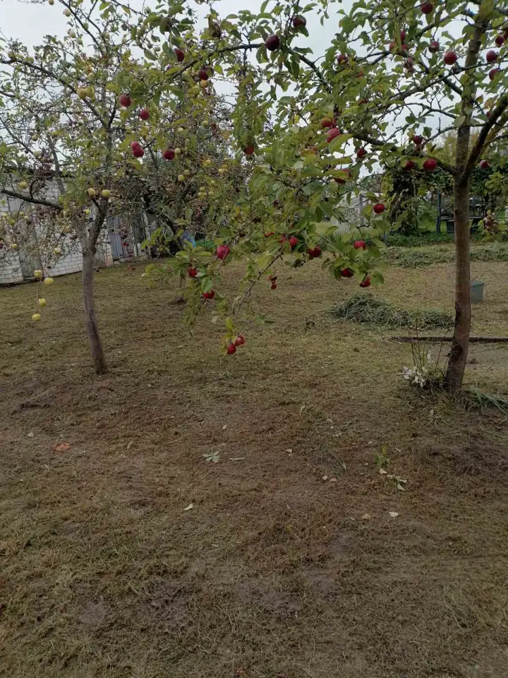 Продаётся дача, Гродненский рн., Каптевский с/с, СТ Зелёный огонёк, фотография 7