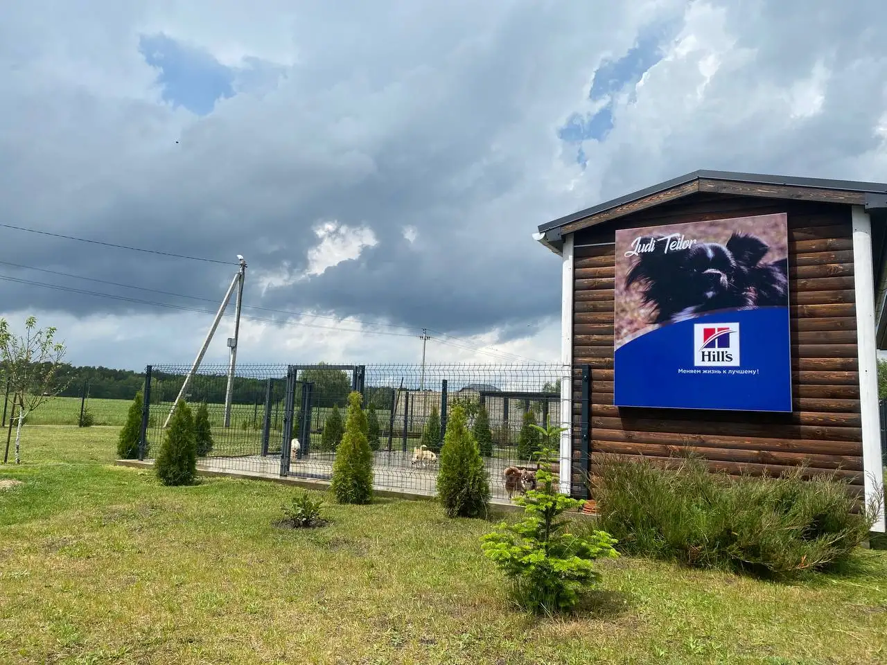 Питомник чихуахуа JudiTeilor, фотография 1