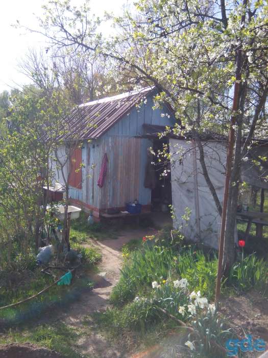 Продается дача 10+6 соток, Смолевичский район, с/т Амкодор 202, фотография 4