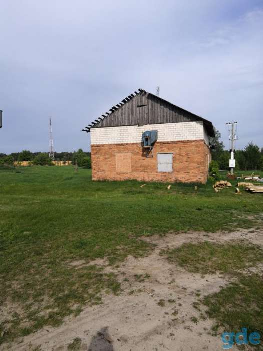 Участок, Деревья Волчья Гора, фотография 1