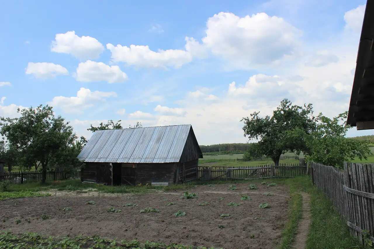 Продается дом в деревне с участком, Малоритский рвйон, д. Пажежин, фотография 5
