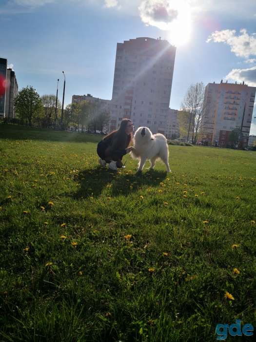 Вязка, фотография 7