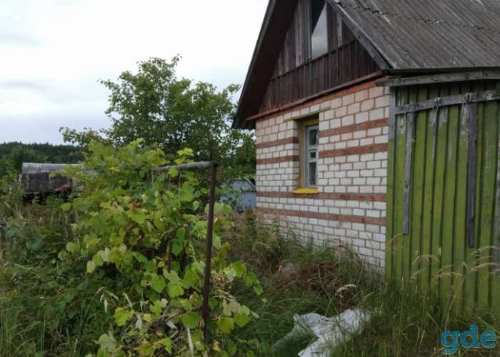 Продажа эемельного участка, Могилевская область Шкловский р-н Старошкловский с/с СТ «СТРОММАШИНА», фотография 4