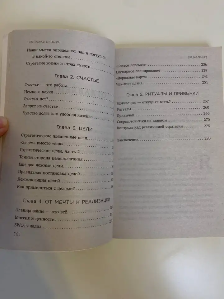 Книга стратегия жизни Святослав Бирюлин, фотография 4