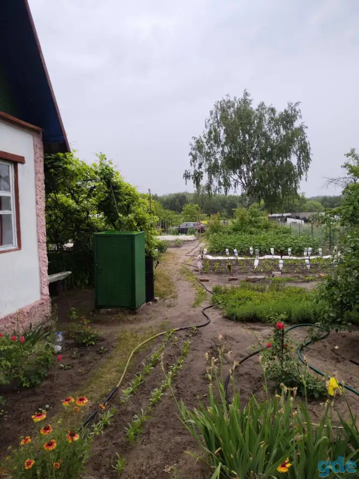 продажа дачи, Ветковский район, Рудня-Споницкая, фотография 2
