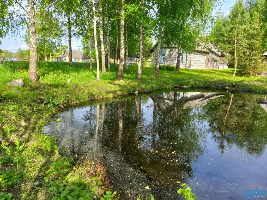 Дом на озере Свирь, фотография 1