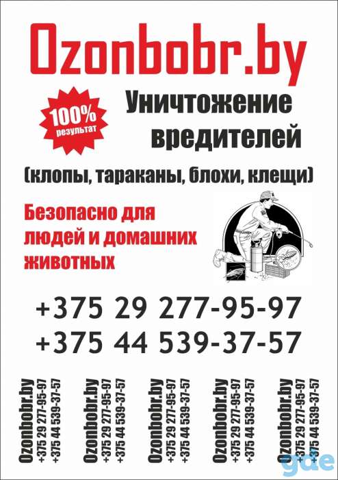 Уничтожение постельных клопов,тараканов,блох,клещей., фотография 1