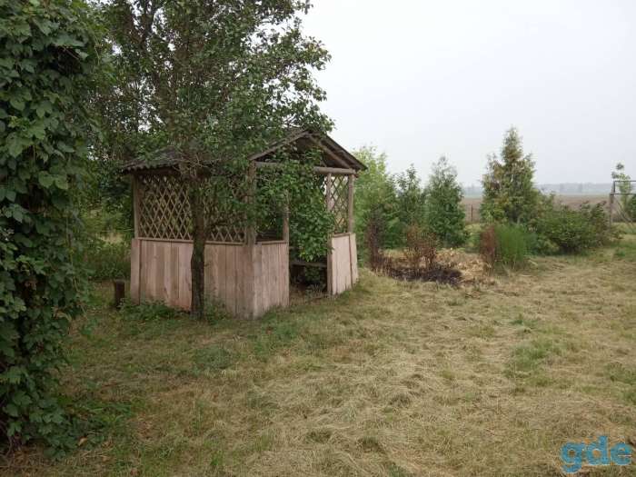 Дом в д. Приступичи, фотография 5