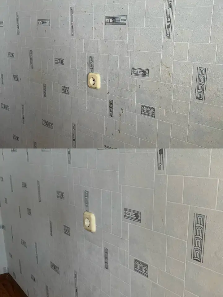 ZUBR CLEAN  профессиональная уборка квартир и домов в Бресте и области, фотография 7