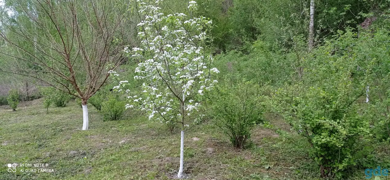 Продам участок с домом, ул.Нагорная, д.65, фотография 6