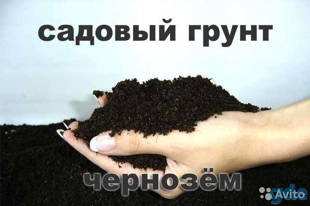 Песок*Гравий*Щебень*Торф*ПГС*Растительный грунт*Земля д/газона, фотография 2